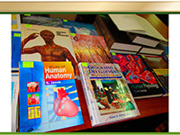 news_2013_02_15_13_41